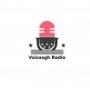 Voicesgh Radio